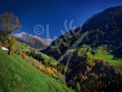 ITALY San Leonardo